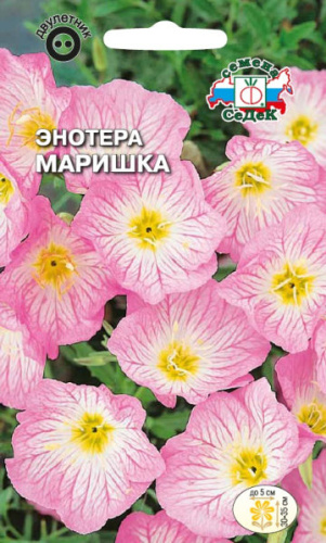 Энотера Маришка