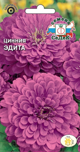 Цинния Эдита изящная, георгиновидная