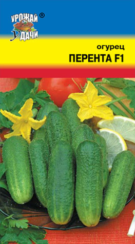 Огурец Перента F1