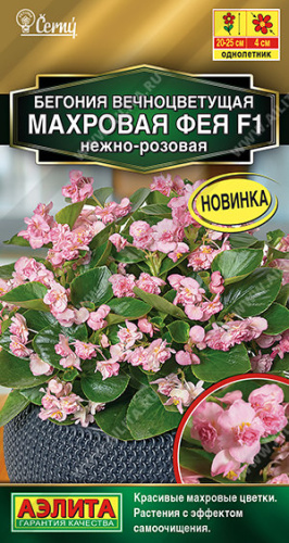 Бегония Фея F1 нежно-розовая вечноцветущая махровая 