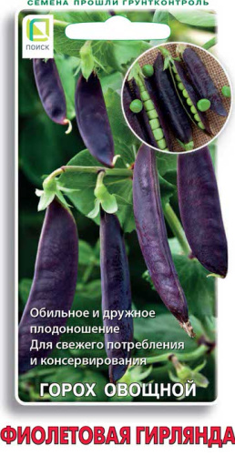 Горох Фиолетовая гирлянда