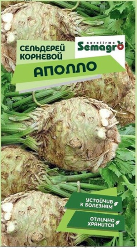 Сельдерей Аполло корневой