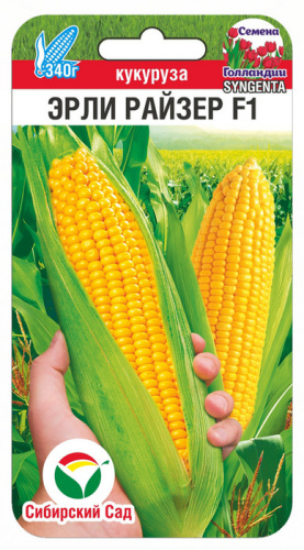 Кукуруза Эрли Райзер