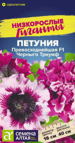 Петуния Превосходнейшая Черныго Триумф 