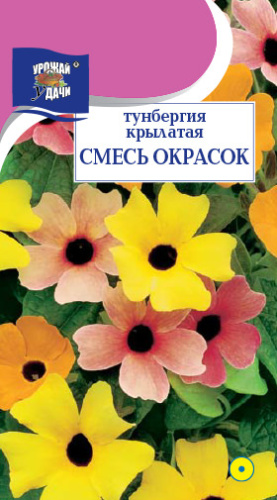 Тунбергия Смесь окрасок