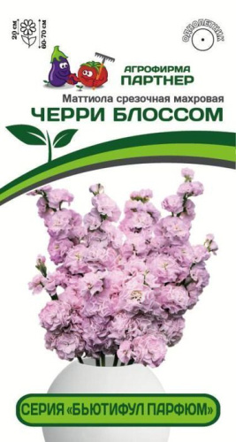 Маттиола Бьютифул Парфюм Черри Блоссом срезочная махровая