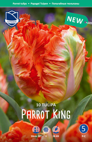 Тюльпан попугайный "Parrot King" (1х10шт)