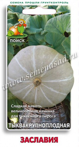 Тыква Заславия