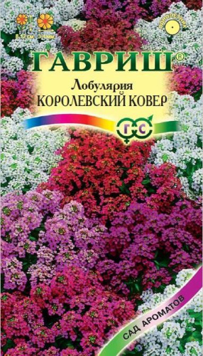 Лобулярия Королевский Ковер 