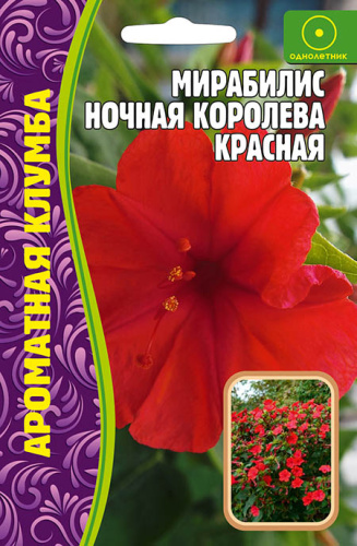 Мирабилис Ночная Королева Красная