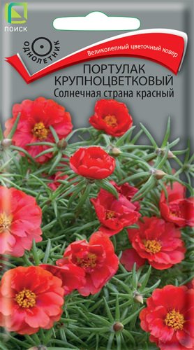 Портулак Солнечная страна красный крупноцветковая