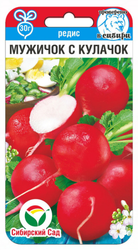 Редис Мужичок с кулачок