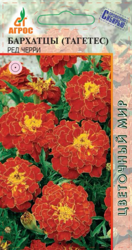Бархатцы Ред Черри