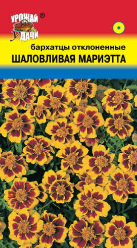 Бархатцы Шаловливая Мариэтта откл.
