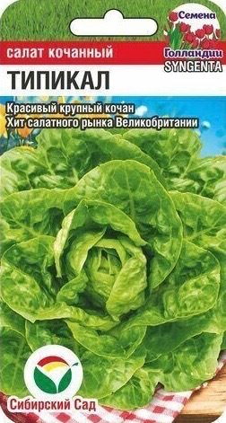 Салат Типикал