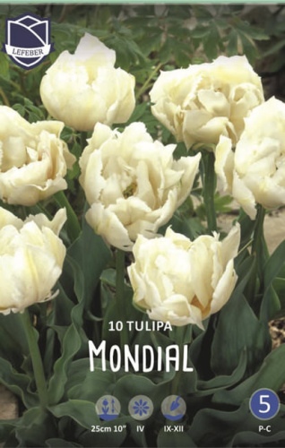 Тюльпан махровый "Mondial" (1х25шт)