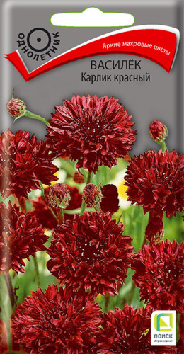 Василек Карлик красный