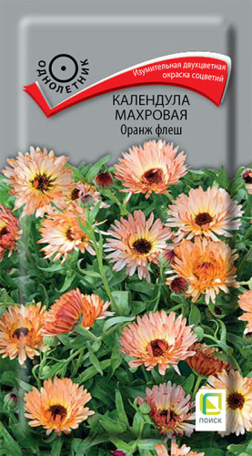 Календула махровая Оранж флеш