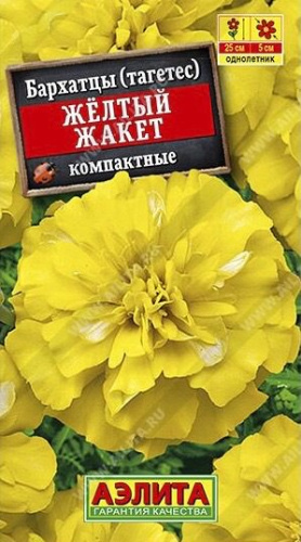 Бархатцы Желтый жакет 