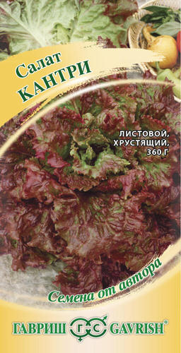 Салат Кантри листовой автор. 