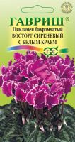 Цикламен Восторг махровый сиреневый с бел.  купить