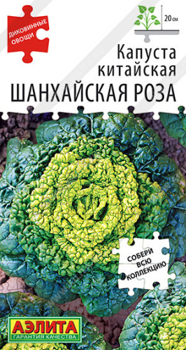 Капуста (китайская) Шанхайская роза Диковинные овощи 