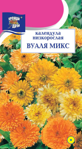 Календула Вуаля низкорослая, микс