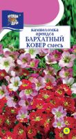 Камнеломка Бархатный Ковер, смесь  купить