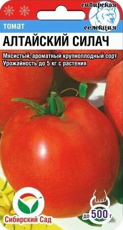 Томат Алтайский силач 