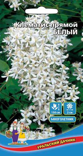 Клематис Прямой (УД) 