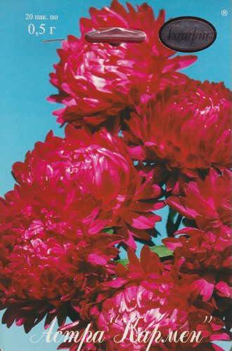 Астра Кармен/1шт