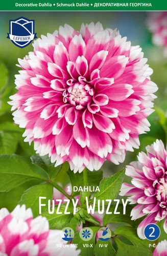 Георгина декоративная Fuzzy Wuzzy /1шт