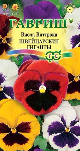 Виола Виттрока Швейцарские гиганты 