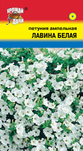 Петуния Лавина F1 Белая ампельная 