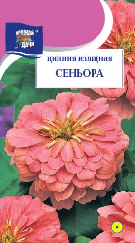 Цинния Сеньора