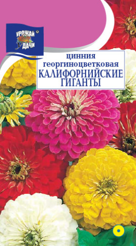 Цинния Калифорнийские гиганты 