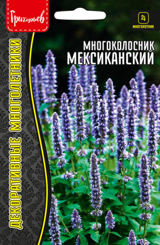 Многоколосник Мексиканский