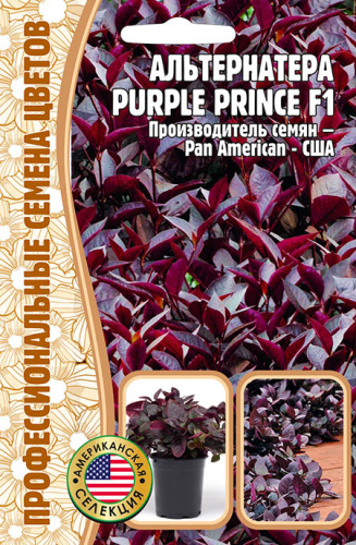 Альтернатера Пепл Принц F1 (Purple Prince)