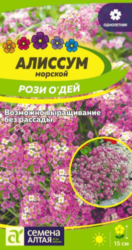 Алиссум Рози О'Дей 