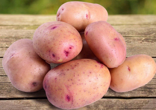 Картофель семенной Жуковский ранний 2кг (Суперэлита)