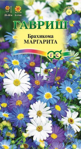 Брахикома Иберисолистная Маргарита 
