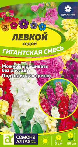 Левкой Гигантская Смесь окрасок 
