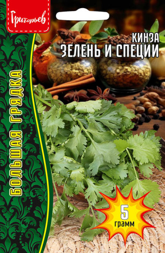 Кинза Зелень и Специи