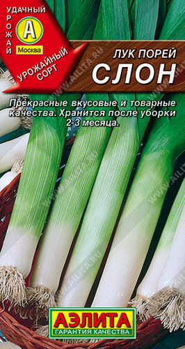 Лук (порей) Слон