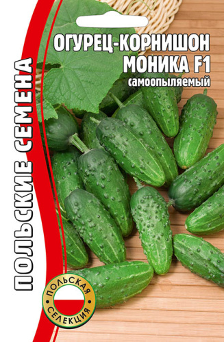 Огурец Моника (самоопыляемый. польская сел.) 