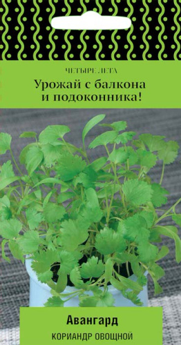Кориандр Авангард