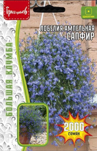 Лобелия Сапфир ампельная