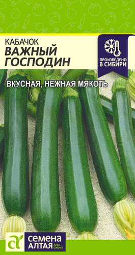 Кабачок Важный Господин 
