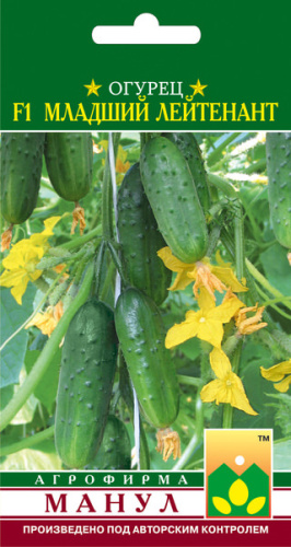 Огурец Мл.Лейтенант F1 