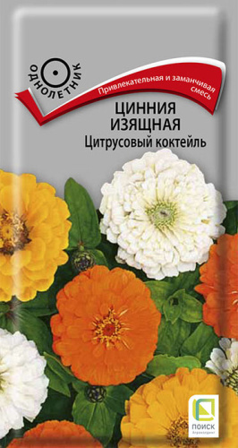Цинния Цитрусовый коктейль изящная